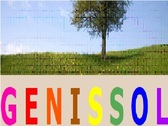 Genissol